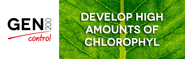 Crops that grow with the help of GEN200 Control develop high amounts of chlorophyll in their system.