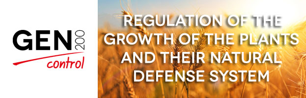 Use GEN200 CONTROL to ensure the regulation of the growth of the plants and their natural defense system.